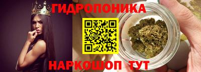 индика Протвино